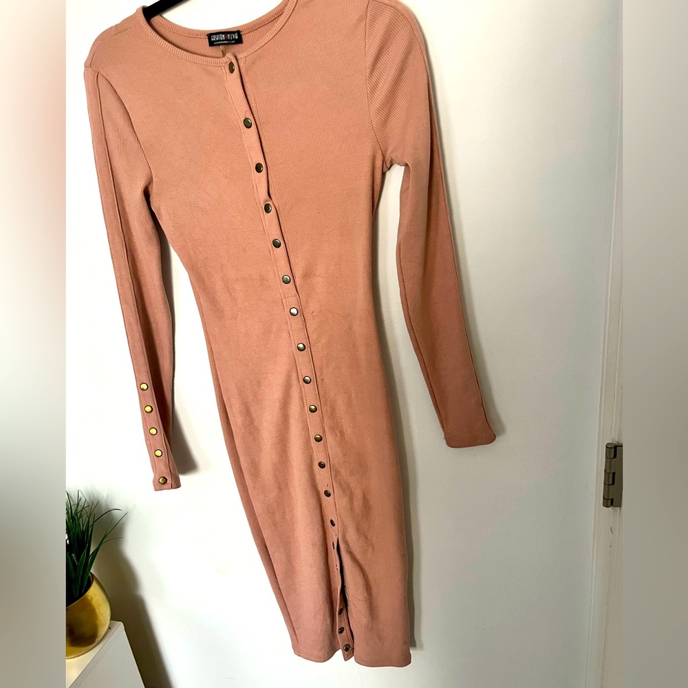 Mauve Fitted Button Down Dress